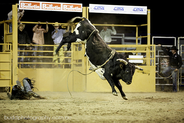 ©Roslyn Budd - www.buddphotography.com.au
