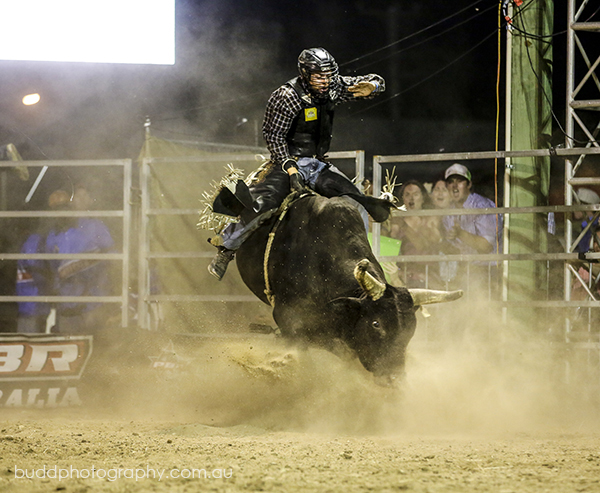 ©Roslyn Budd - www.buddphotography.com.au