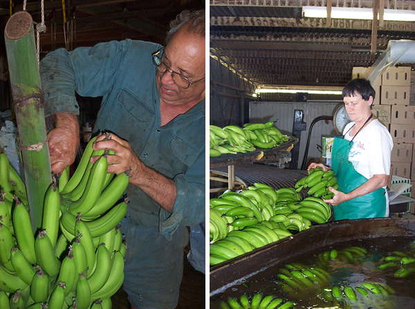 066_Sultana 50th Wedding