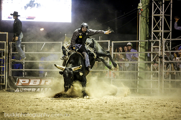 ©Roslyn Budd - www.buddphotography.com.au