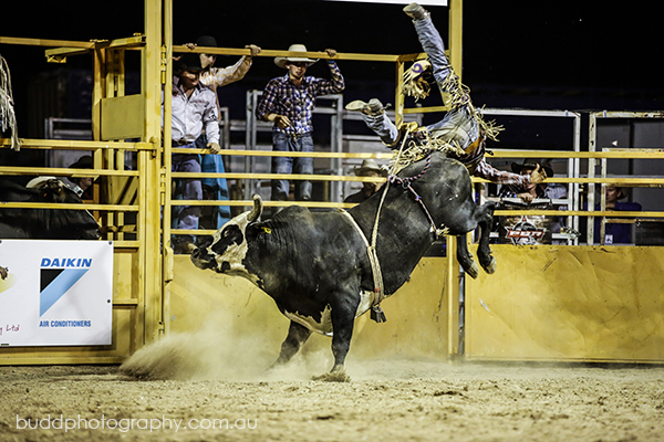 ©Roslyn Budd - www.buddphotography.com.au