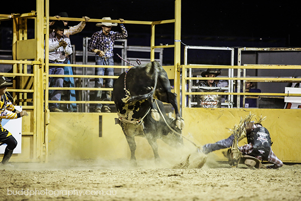 ©Roslyn Budd - www.buddphotography.com.au