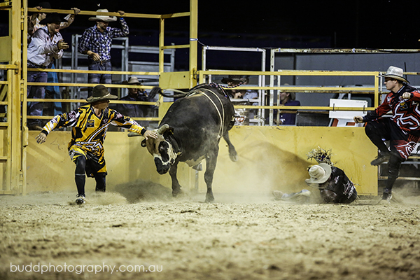 ©Roslyn Budd - www.buddphotography.com.au