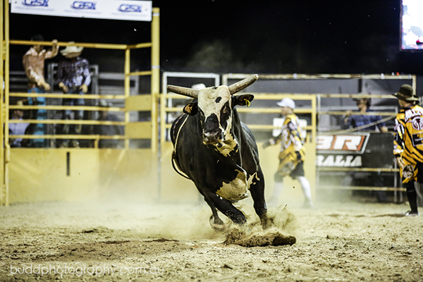 ©Roslyn Budd - www.buddphotography.com.au