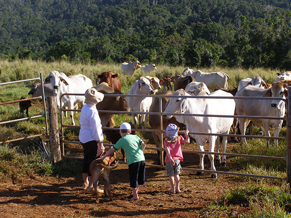 080_Sultana 50th Wedding
