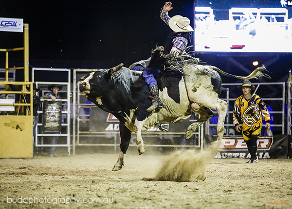 ©Roslyn Budd - www.buddphotography.com.au