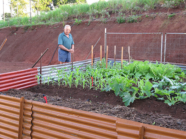 086_Sultana 50th Wedding