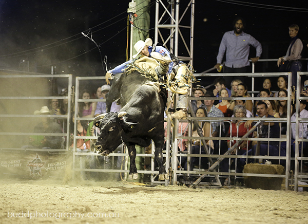 ©Roslyn Budd - www.buddphotography.com.au