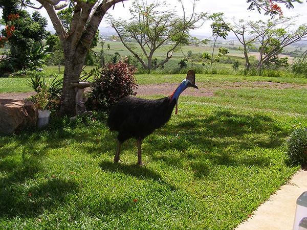 090_Sultana 50th Wedding