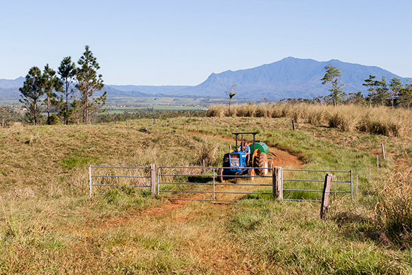 091_Sultana 50th Wedding
