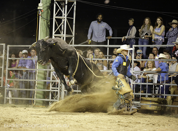 ©Roslyn Budd - www.buddphotography.com.au