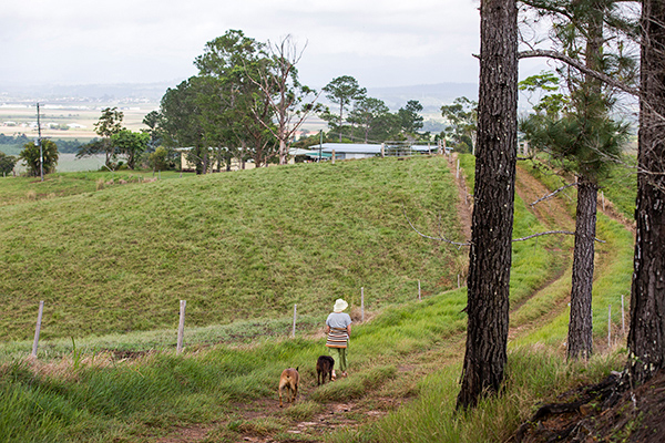 092_Sultana 50th Wedding