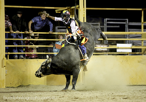 ©Roslyn Budd - www.buddphotography.com.au
