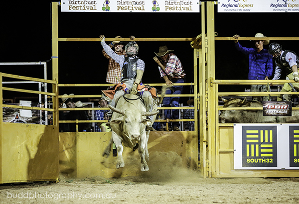 ©Roslyn Budd - www.buddphotography.com.au