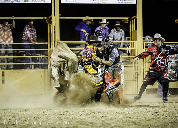 ©Roslyn Budd - www.buddphotography.com.au