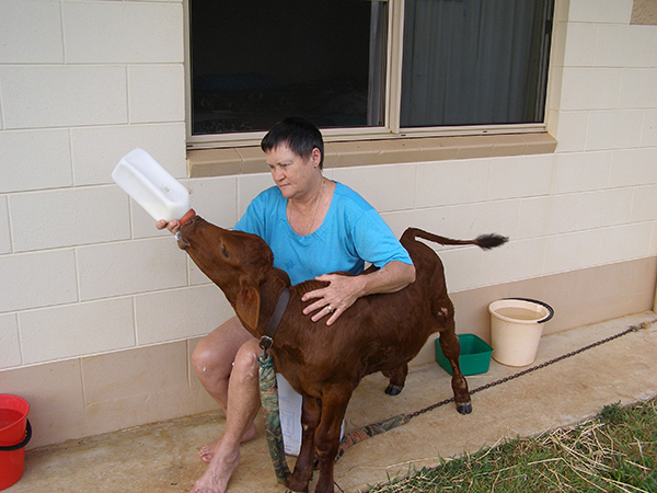 097_Sultana 50th Wedding