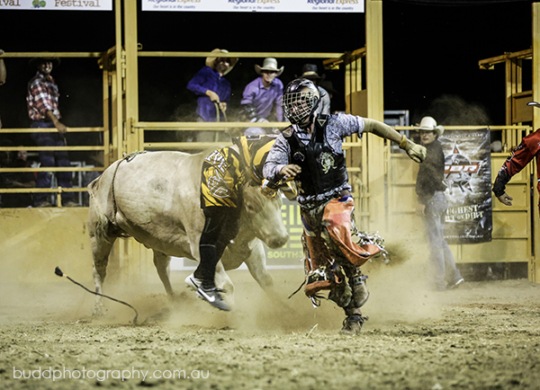 ©Roslyn Budd - www.buddphotography.com.au
