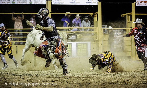 ©Roslyn Budd - www.buddphotography.com.au