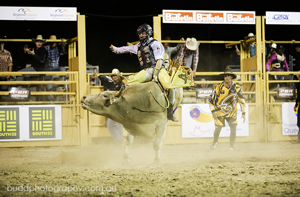 ©Roslyn Budd - www.buddphotography.com.au