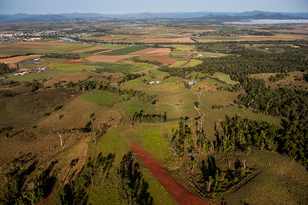 104_Sultana 50th Wedding