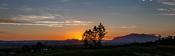 105_Sultana 50th Wedding