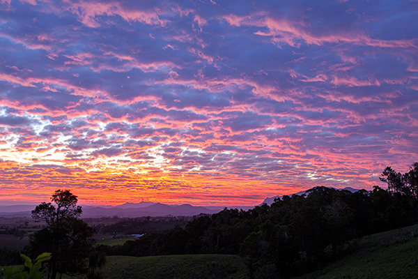 106_Sultana 50th Wedding