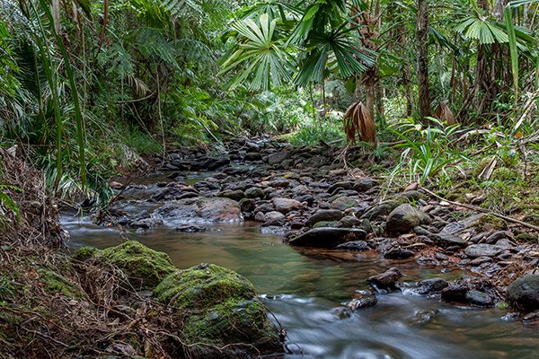 108_Sultana 50th Wedding