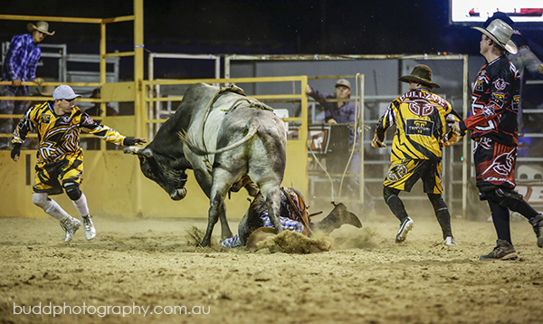 ©Roslyn Budd - www.buddphotography.com.au