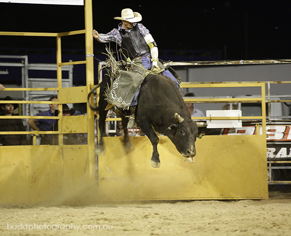 ©Roslyn Budd - www.buddphotography.com.au