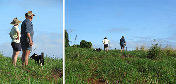 115_Sultana 50th Wedding