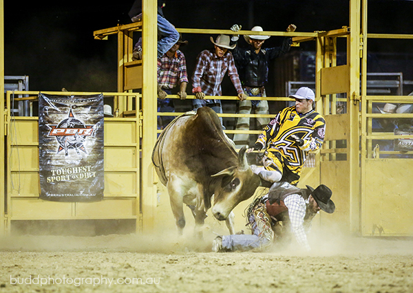 ©Roslyn Budd - www.buddphotography.com.au