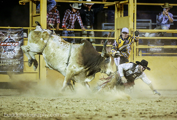 ©Roslyn Budd - www.buddphotography.com.au