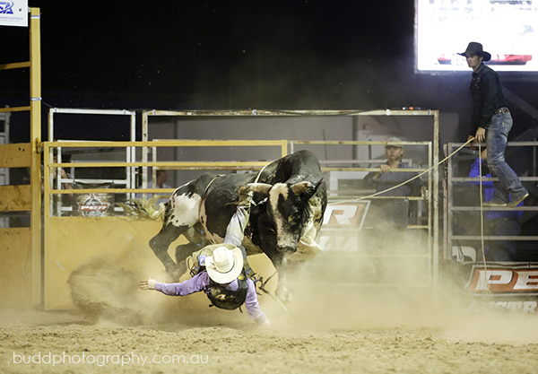 ©Roslyn Budd - www.buddphotography.com.au