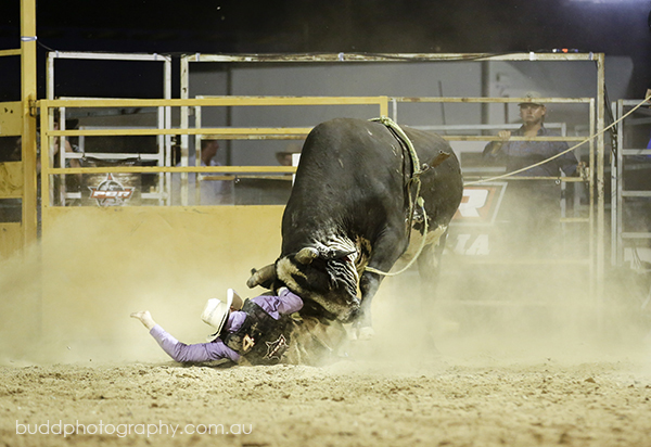 ©Roslyn Budd - www.buddphotography.com.au