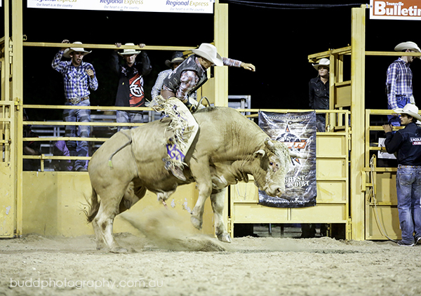 ©Roslyn Budd - www.buddphotography.com.au