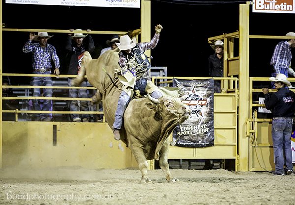 ©Roslyn Budd - www.buddphotography.com.au
