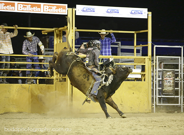 ©Roslyn Budd - www.buddphotography.com.au