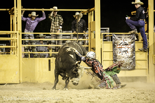 ©Roslyn Budd - www.buddphotography.com.au