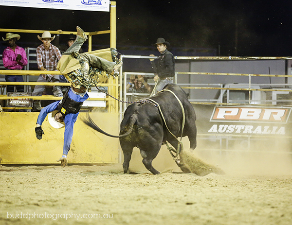 ©Roslyn Budd - www.buddphotography.com.au