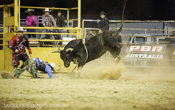 ©Roslyn Budd - www.buddphotography.com.au