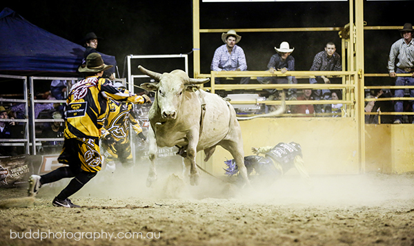 ©Roslyn Budd - www.buddphotography.com.au