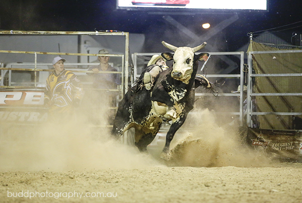 ©Roslyn Budd - www.buddphotography.com.au