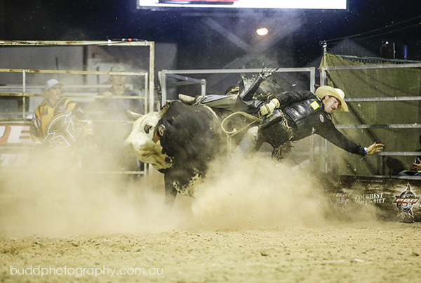 ©Roslyn Budd - www.buddphotography.com.au