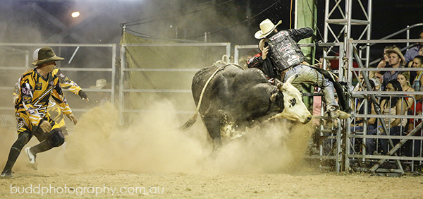 ©Roslyn Budd - www.buddphotography.com.au