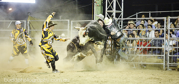 ©Roslyn Budd - www.buddphotography.com.au