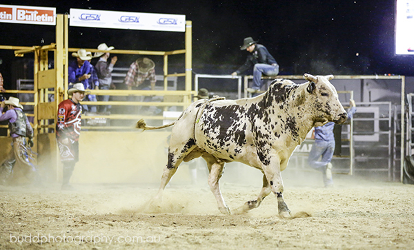 ©Roslyn Budd - www.buddphotography.com.au