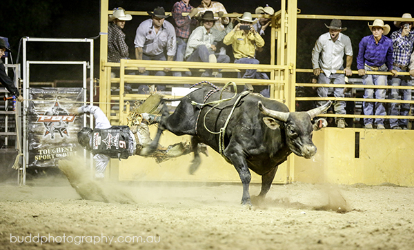©Roslyn Budd - www.buddphotography.com.au