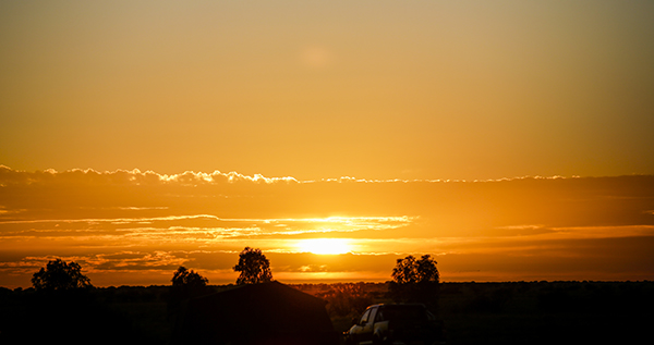 ©Roslyn Budd - www.buddphotography.com.au