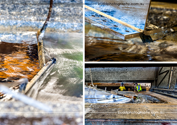©Roslyn Budd - www.buddphotography.com.au