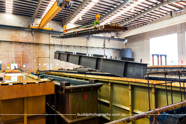 ©Roslyn Budd - www.buddphotography.com.au
